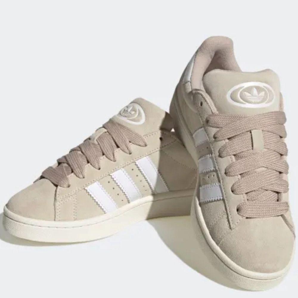 Adidas CAMPUS crema